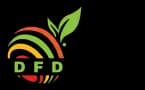Dried Fruit Dubai (DFD UAE) logo